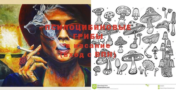 PSILOCYBIN Бородино